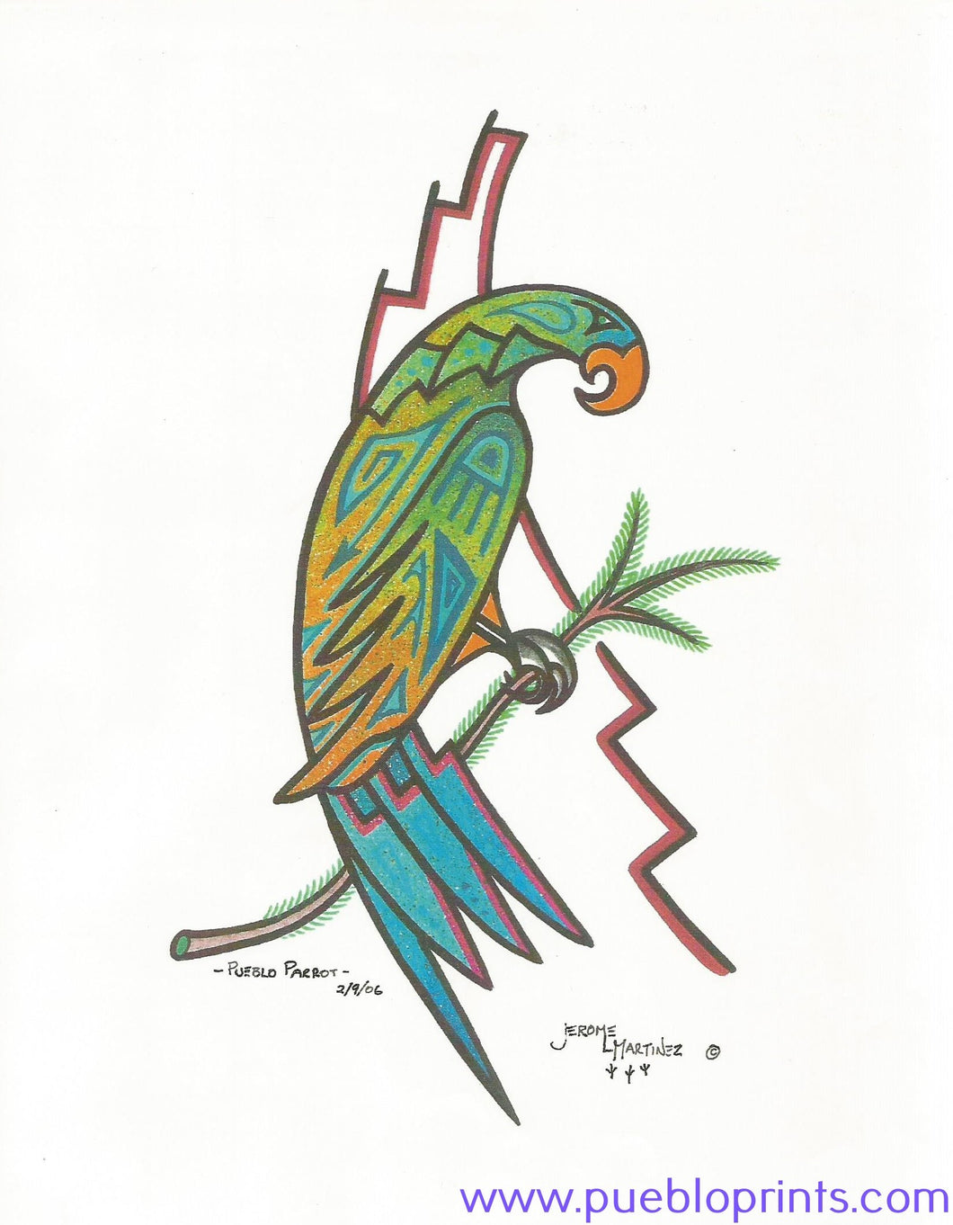 Parrot Art, Native American Art, Native parrot images